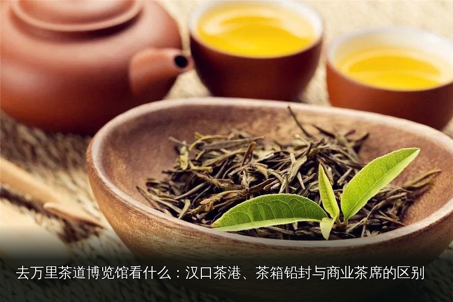 品茶素材｜088｜茶席与茶具